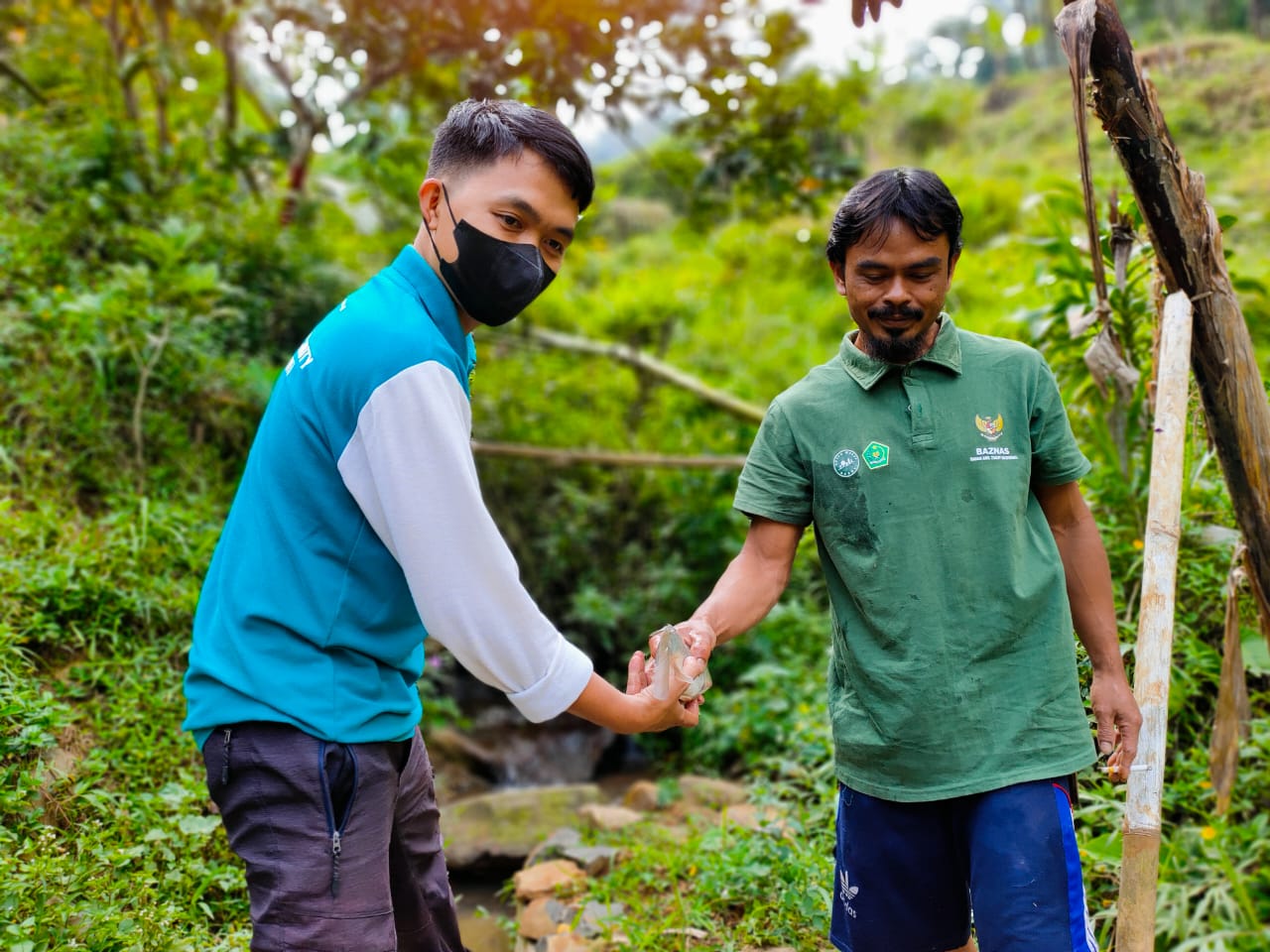 First Image carousel