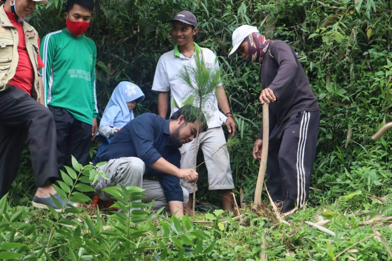 First Image carousel